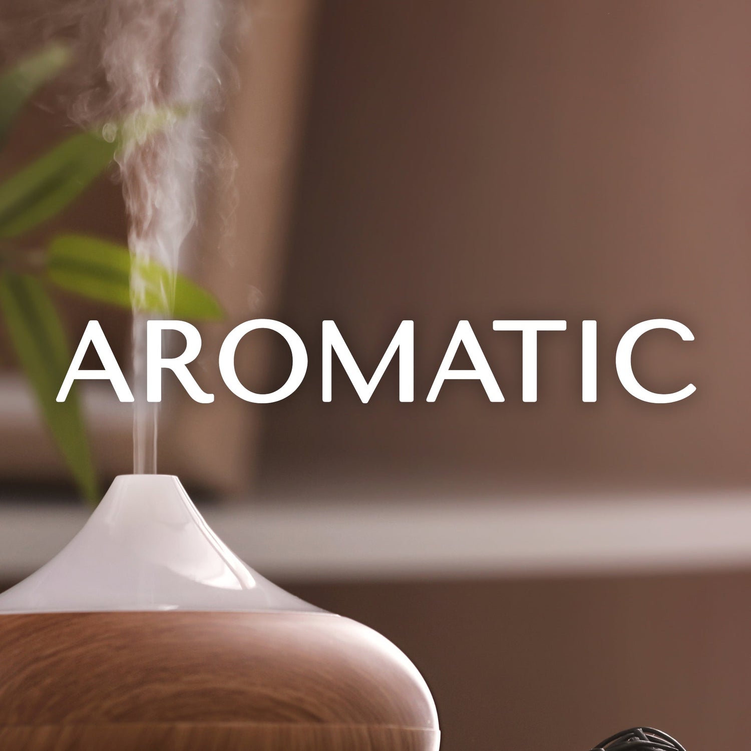 AROMATIC