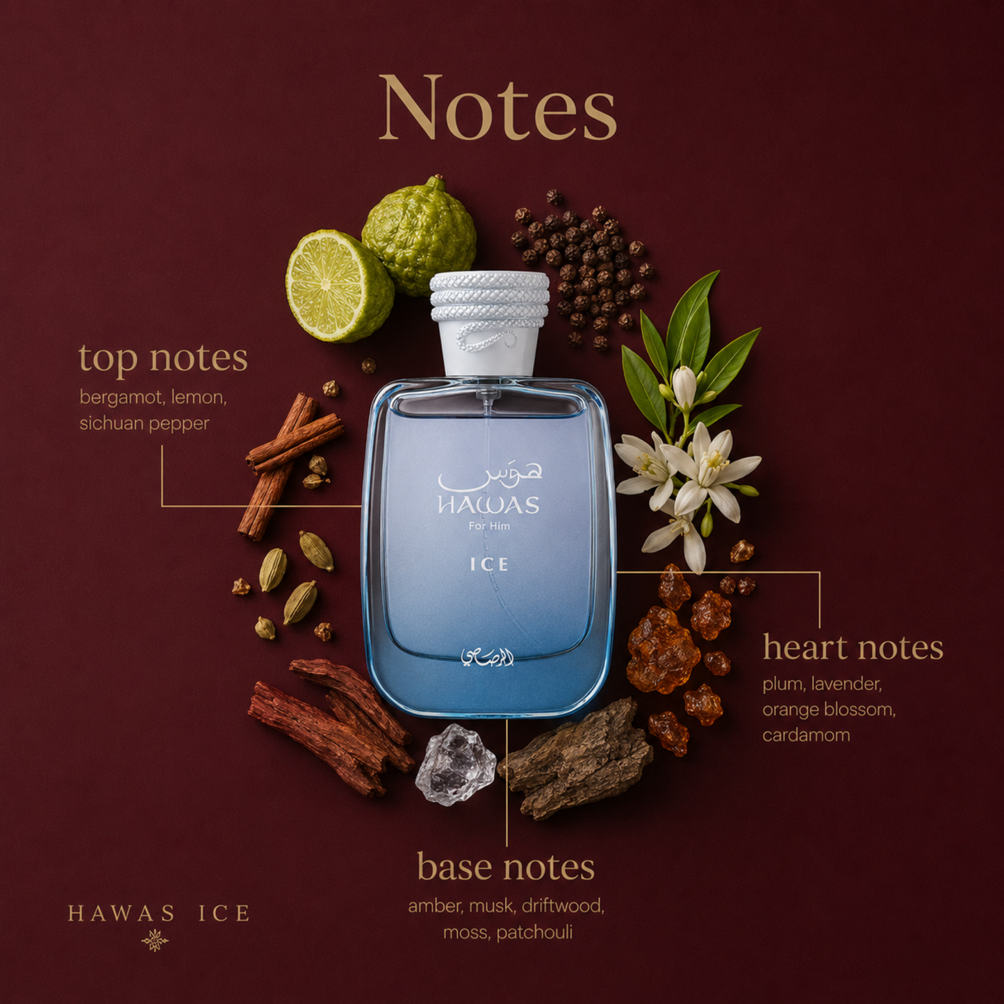 Rasasi Hawas Ice Eau de Parfum 100ml